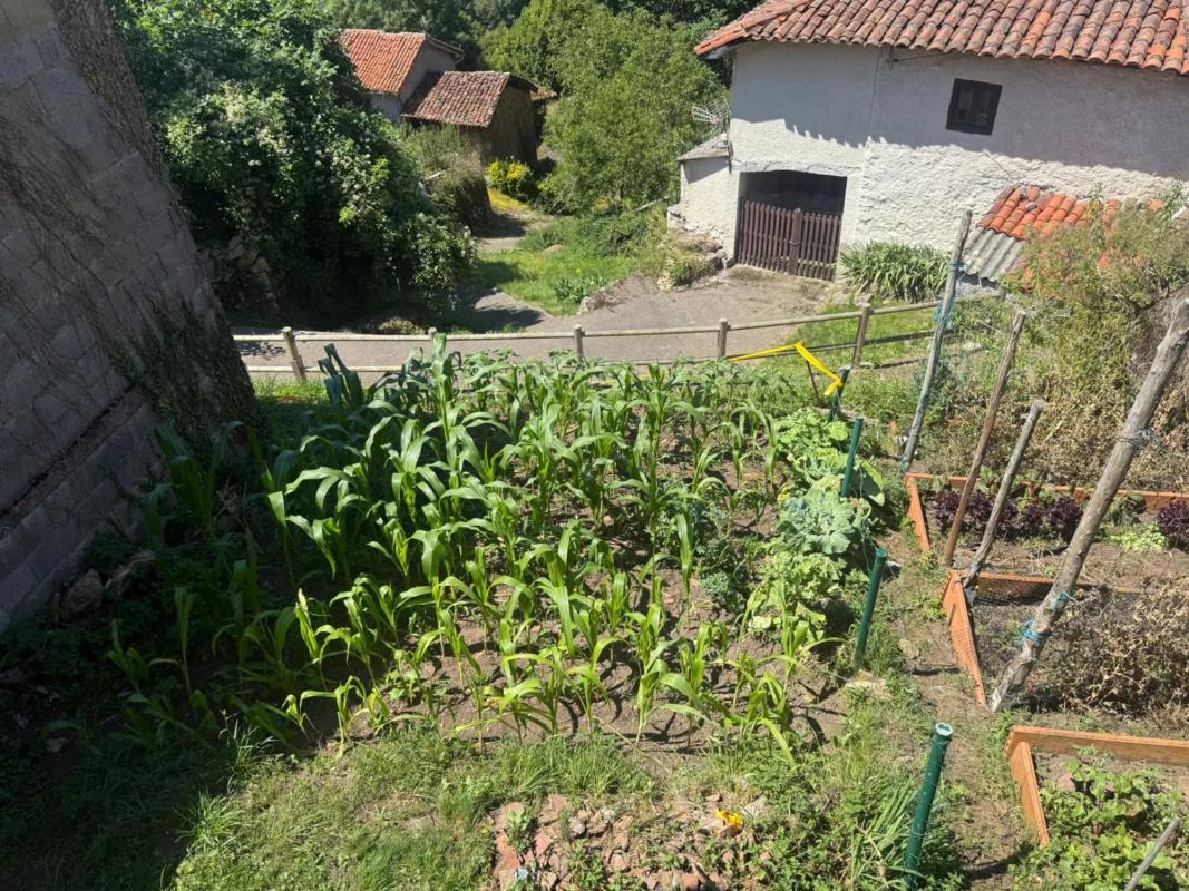 Propiedades en venta y alquiler en España photo 1