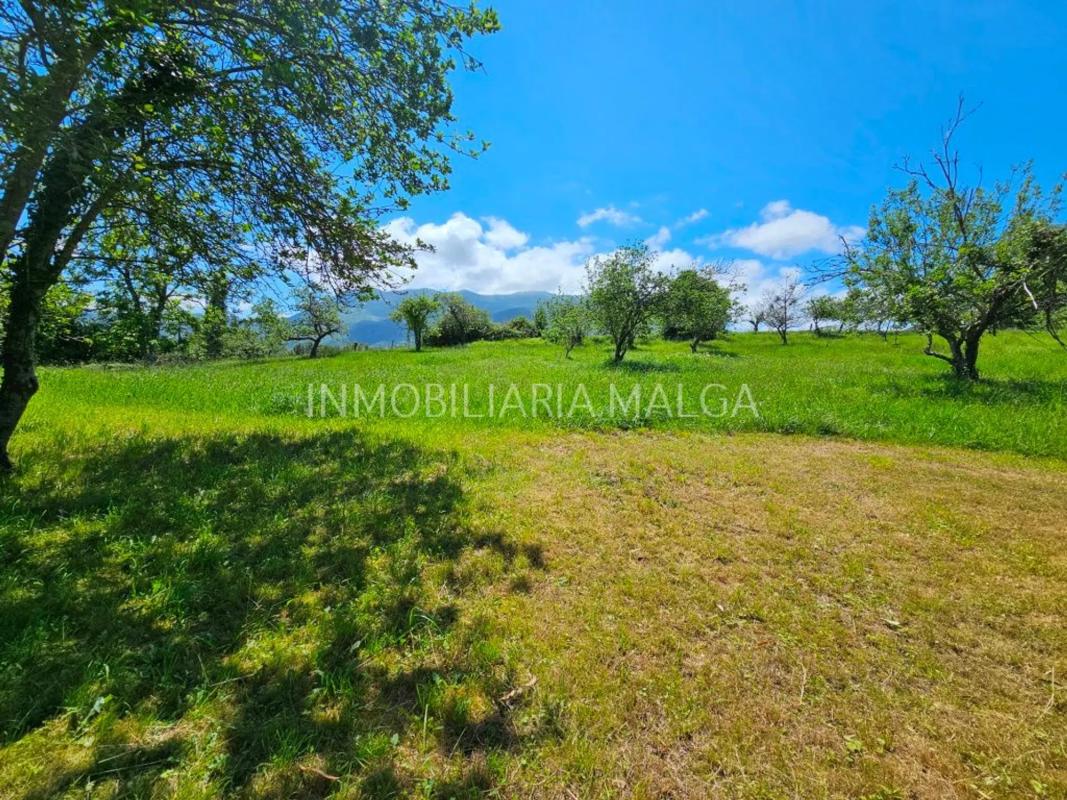 Properties for sale and rent in Spain photo 4