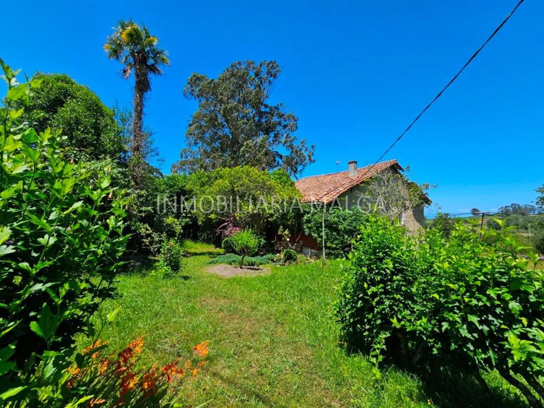 Properties for sale and rent in Spain photo 5