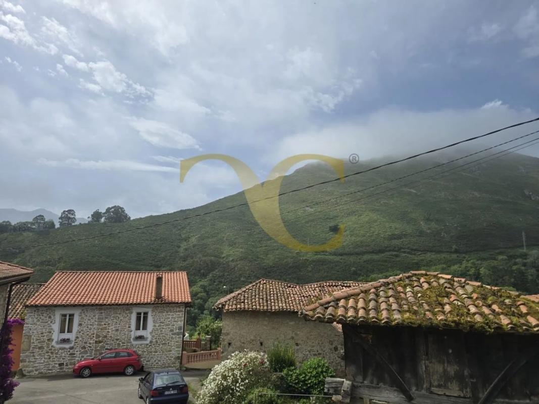 Properties for sale and rent in Spain photo 1