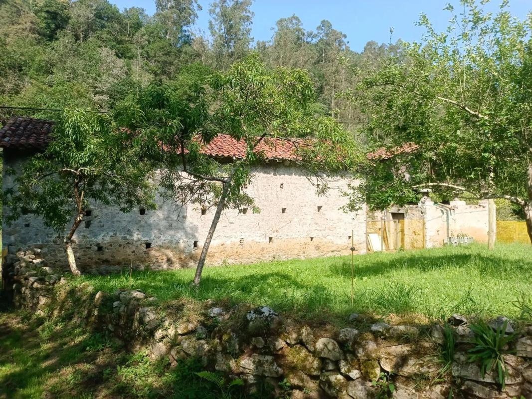 Propiedades en venta y alquiler en España photo 3