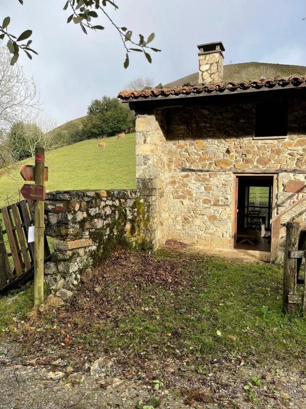 Properties for sale and rent in Spain photo 2