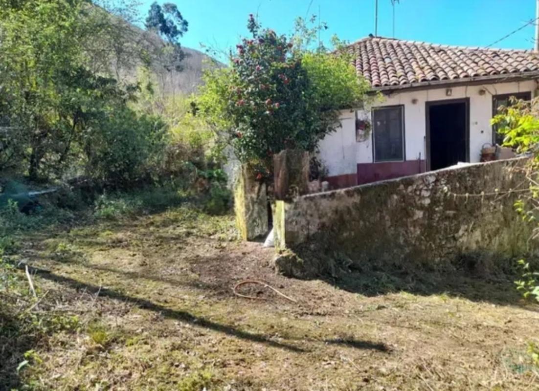 Propiedades en venta y alquiler en España photo 3