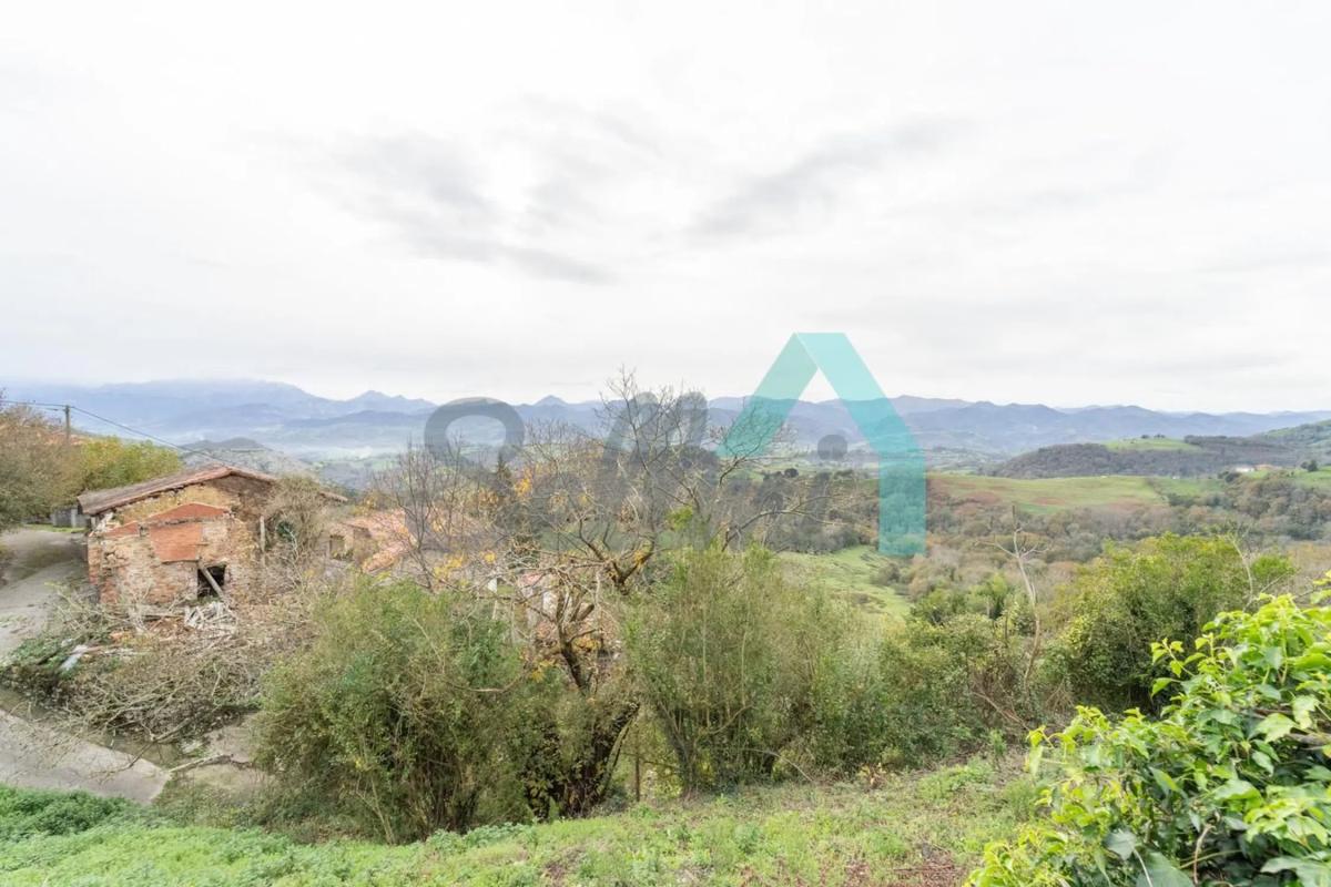 Properties for sale and rent in Spain photo 3