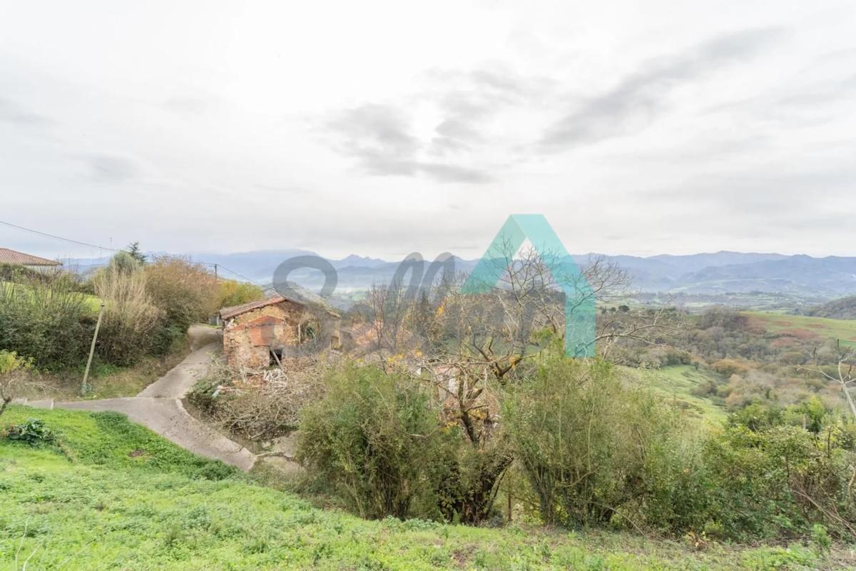 Properties for sale and rent in Spain photo 4