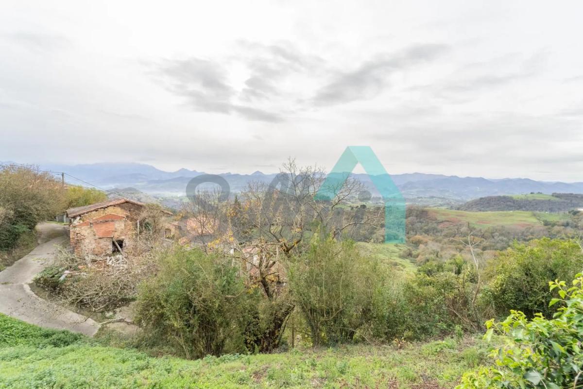 Properties for sale and rent in Spain photo 5