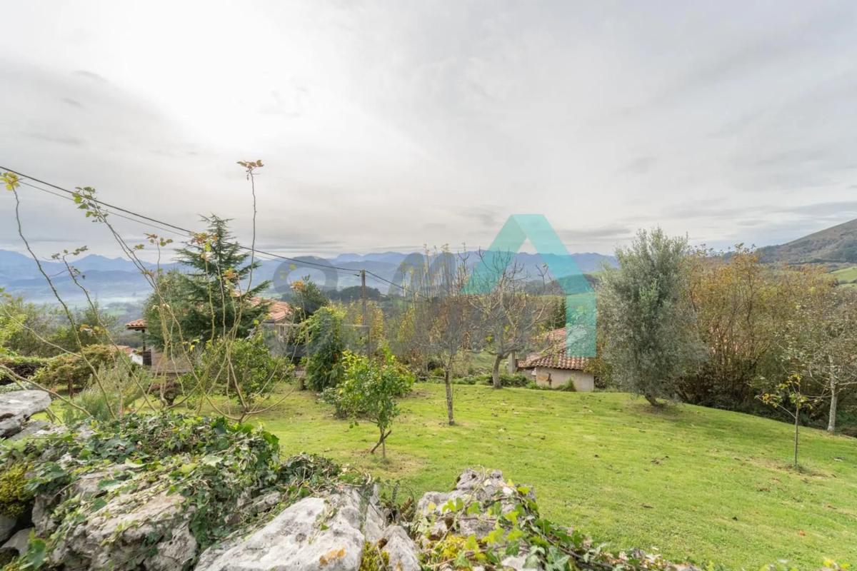 Properties for sale and rent in Spain photo 4
