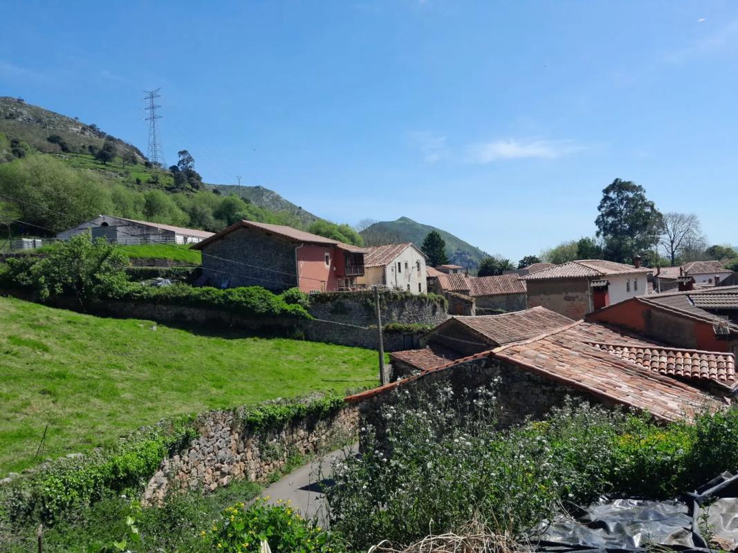 Propiedades en venta y alquiler en España photo 2
