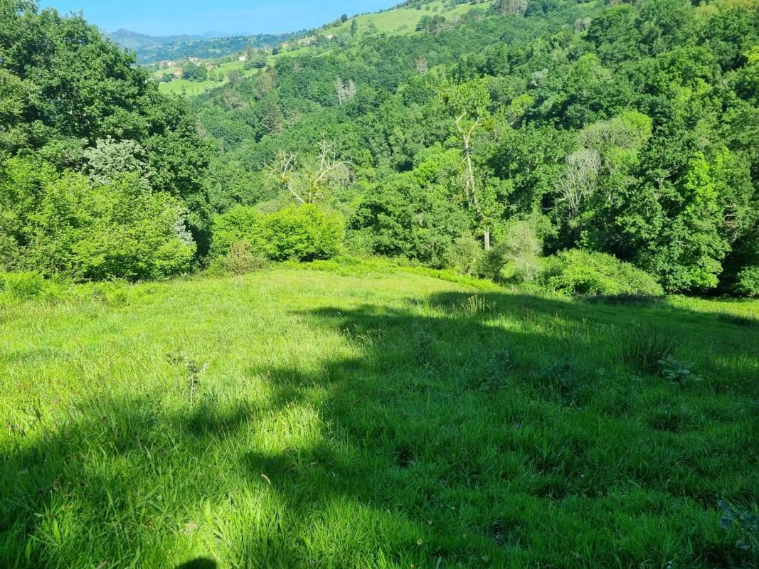 Sale of rural property in Caldevilla s/n , Piloña photo 1