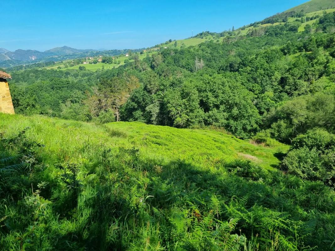 Sale of rural property in Caldevilla s/n , Piloña photo 4