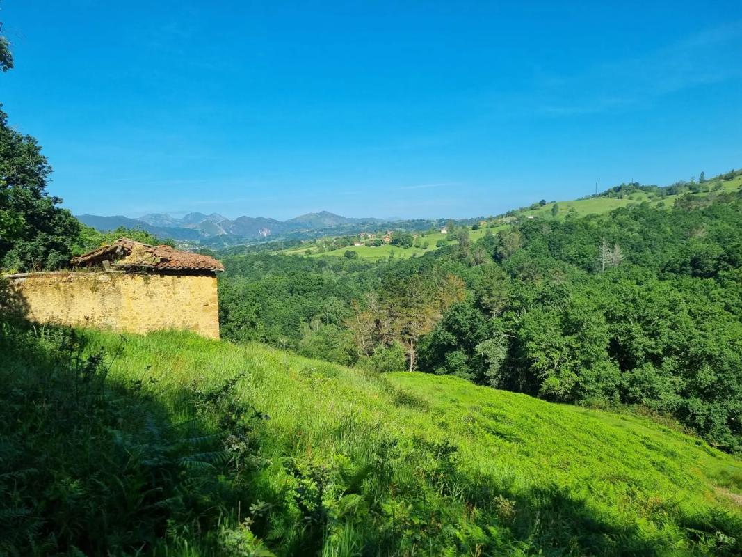 Sale of rural property in Caldevilla s/n , Piloña photo 5