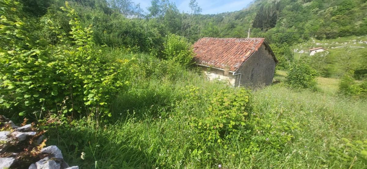 Venta de finca rústica en Lugar Puertas, 117 , Cabrales photo 1