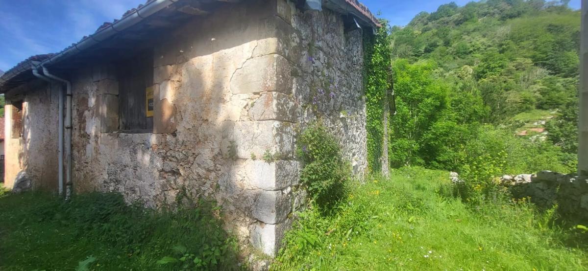 Venta de finca rústica en Lugar Puertas, 179 , Cabrales photo 4