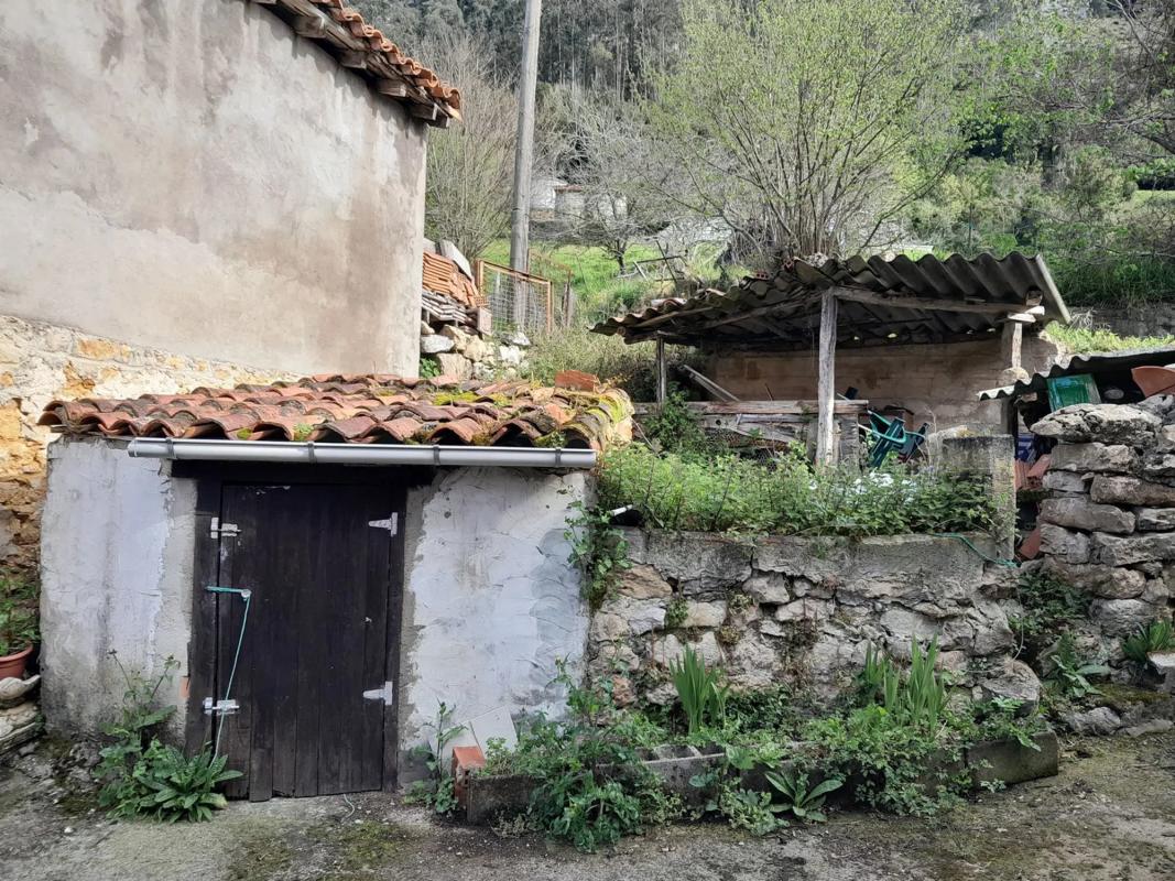 Propiedades en venta y alquiler en España photo 1