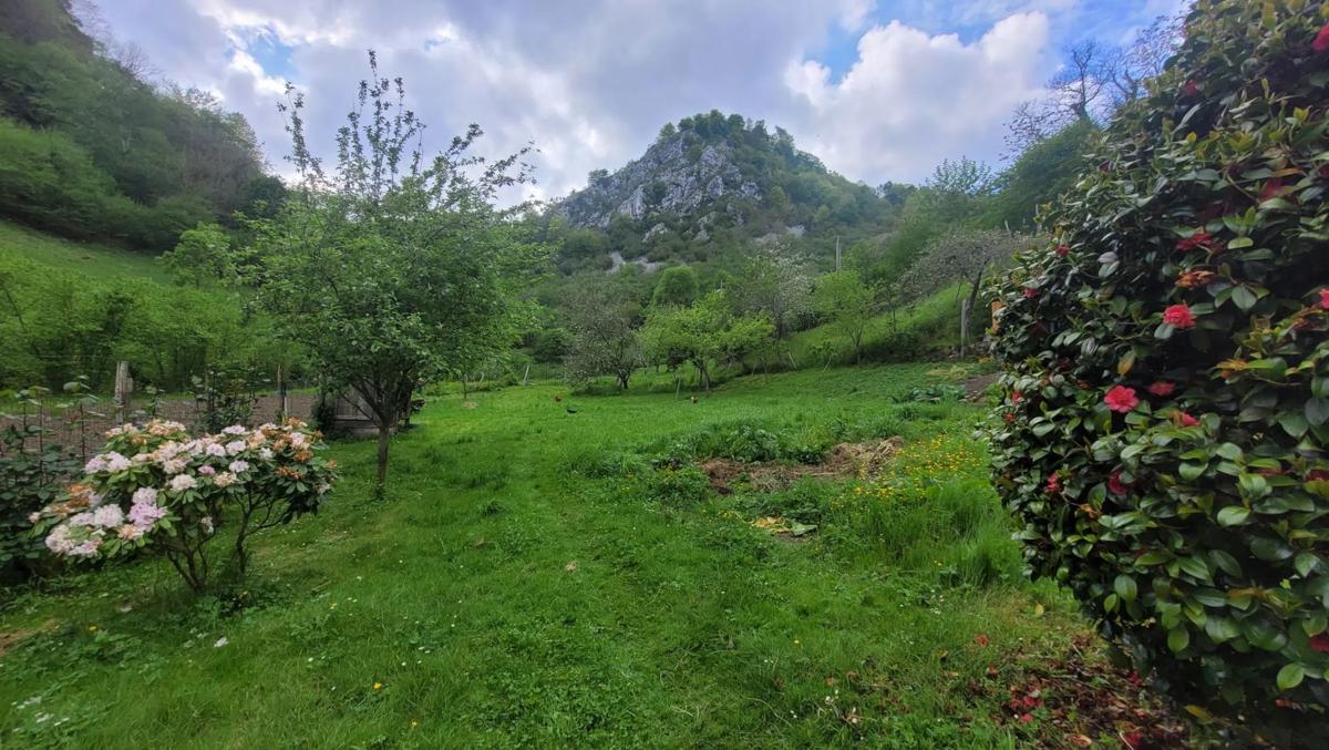 Properties for sale and rent in Spain photo 3