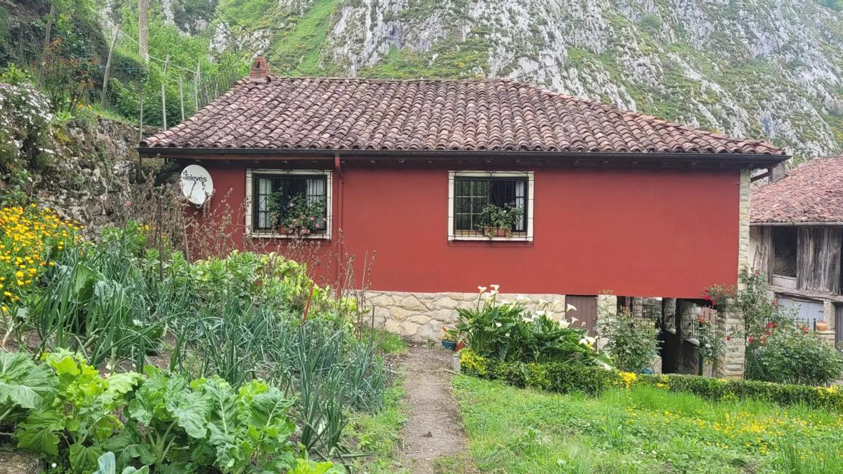 Properties for sale and rent in Spain photo 4
