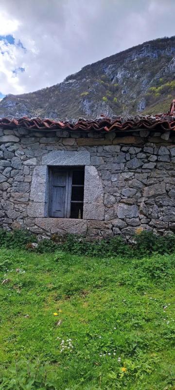 Propiedades en venta y alquiler en España photo 2