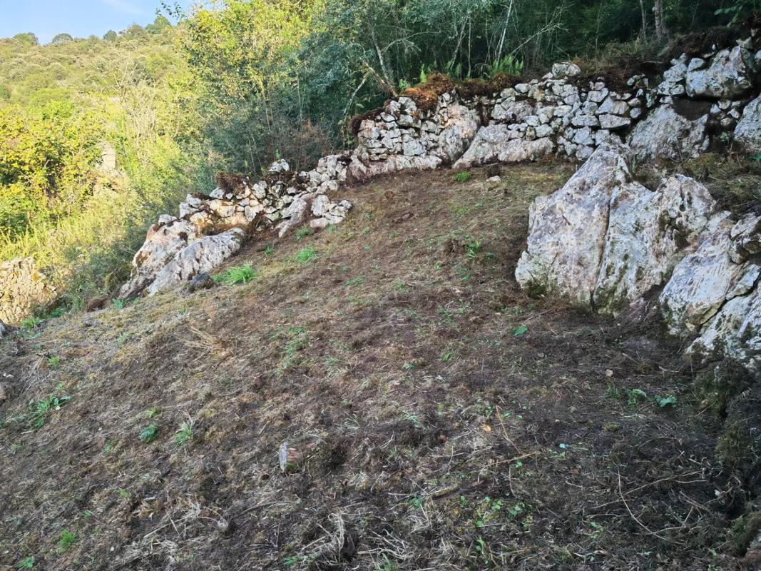 Propiedades en venta y alquiler en España photo 2