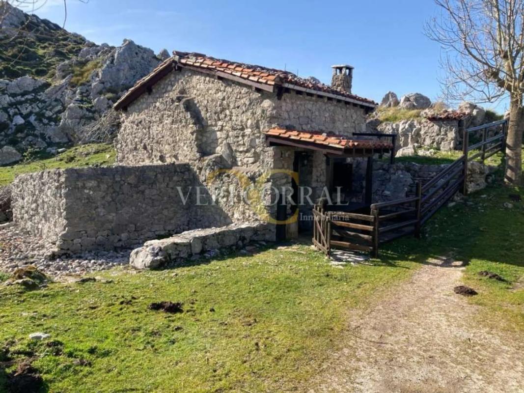 Propiedades en venta y alquiler en España photo 2