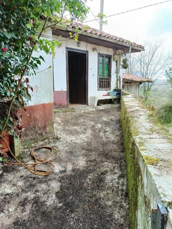Propiedades en venta y alquiler en España photo 1