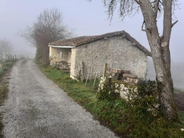 Finca rustykalna na sprzedaż w  Piloña , Piloña photo 4