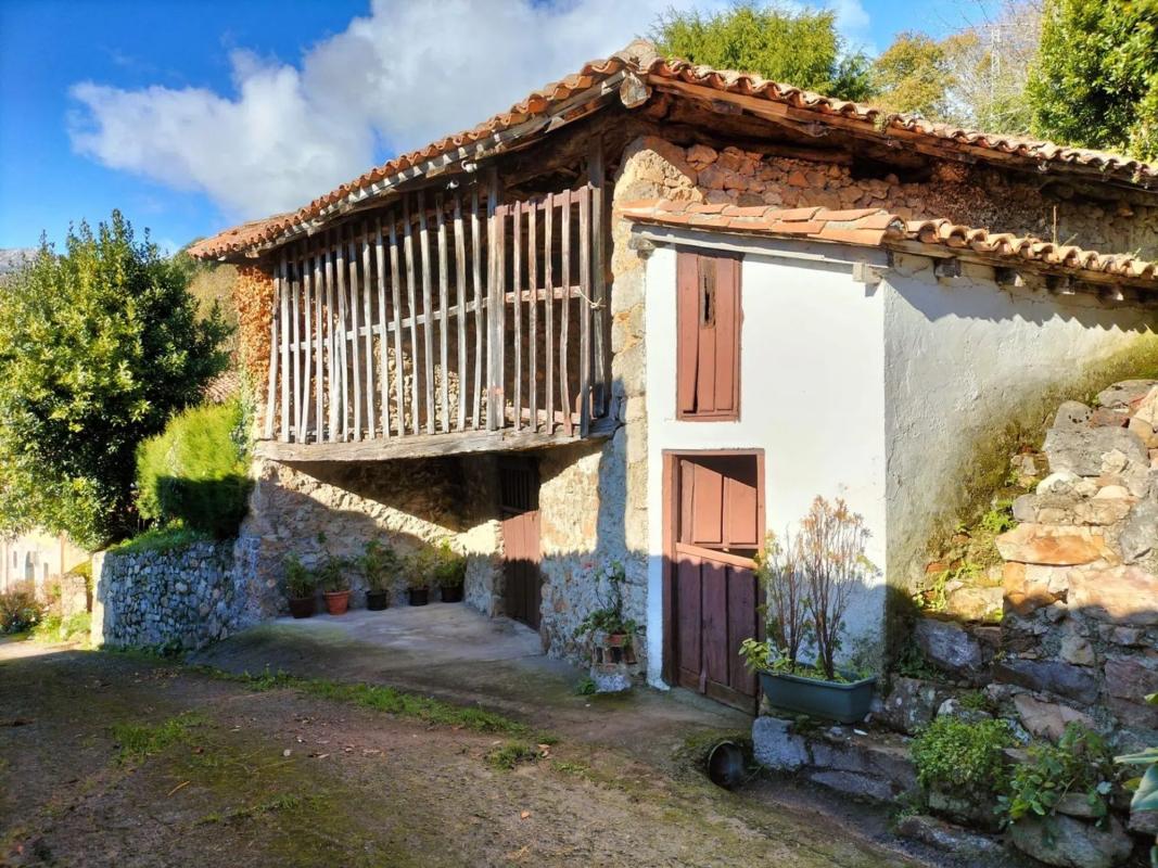 Propiedades en venta y alquiler en España photo 1