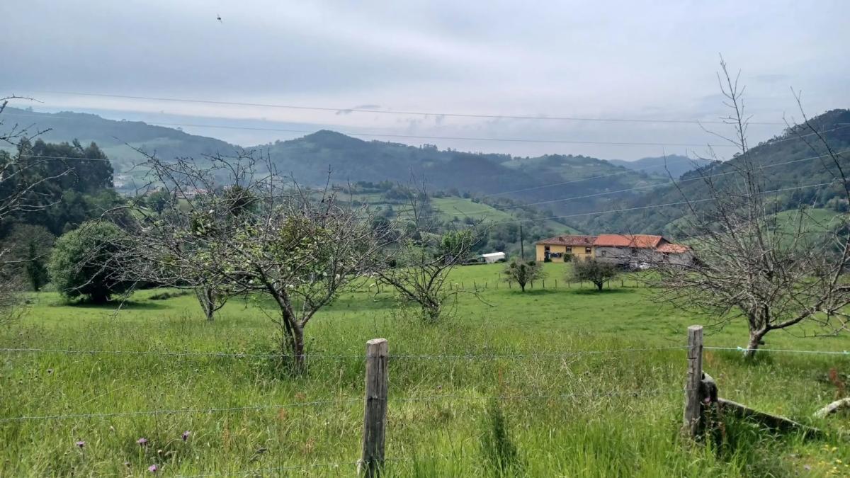 Properties for sale and rent in Spain photo 1