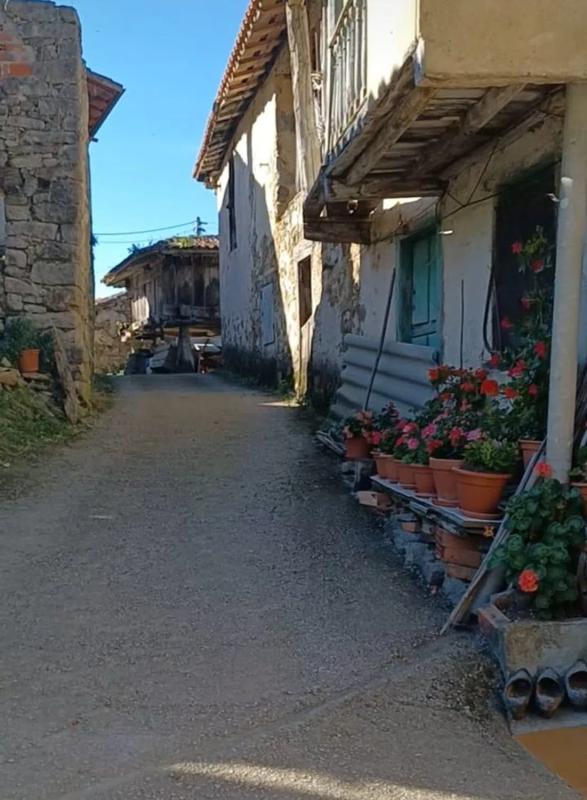 Properties for sale and rent in Spain photo 3