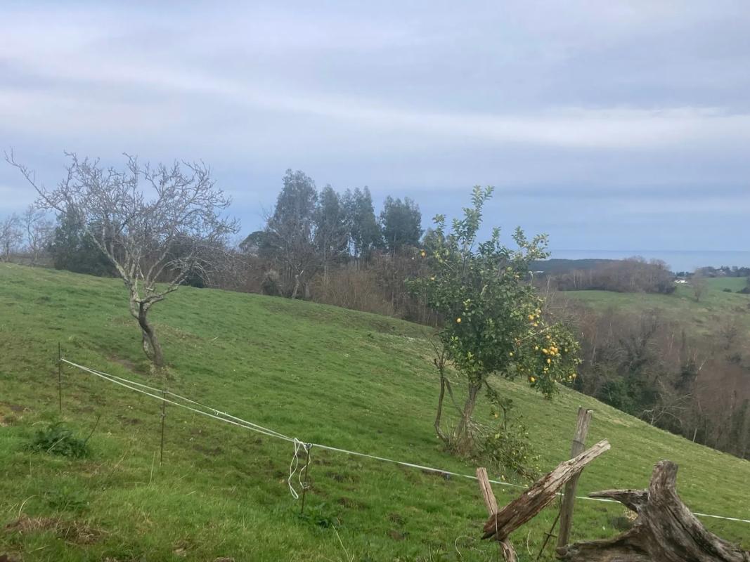 Venta de finca rústica en Carretera de Sardedo , Ribadesella photo 1