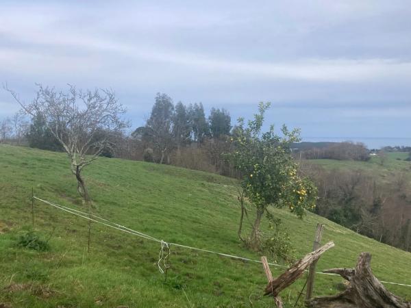 Finca rustykalna na sprzedaż w  Carretera de Sardedo , Ribadesella photo 1