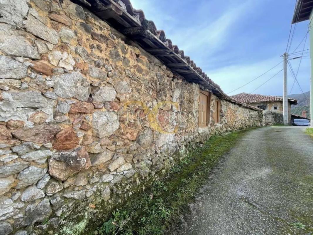 Propiedades en venta y alquiler en España photo 4