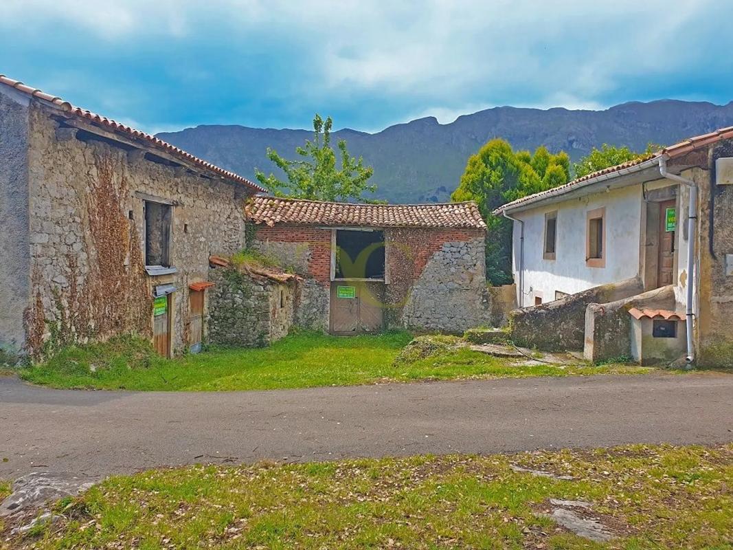 Propiedades en venta y alquiler en España photo 2