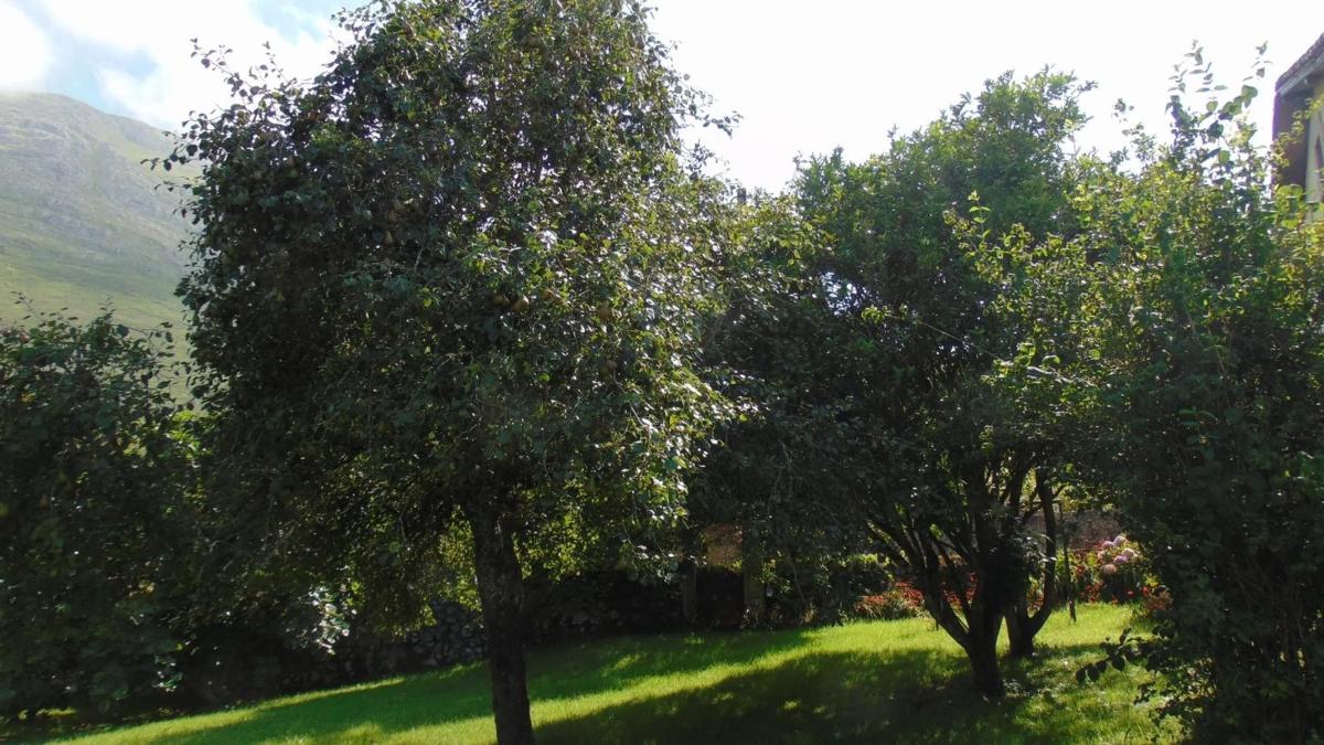 Properties for sale and rent in Spain photo 3