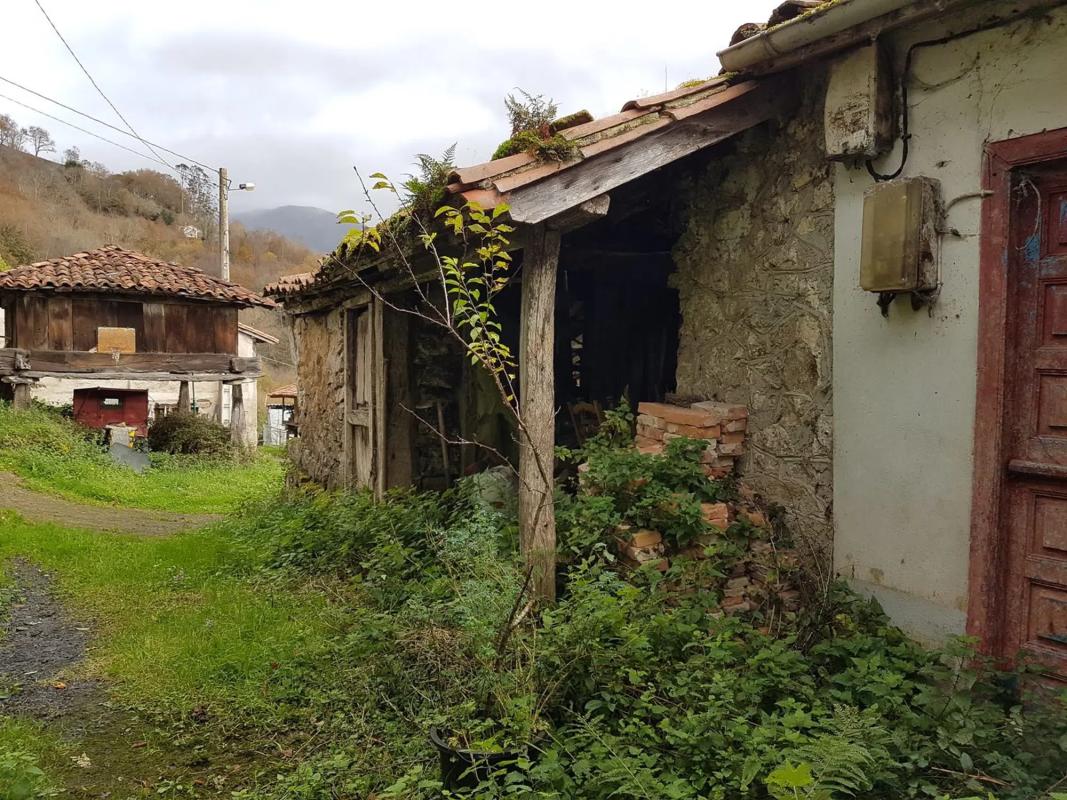 Properties for sale and rent in Spain photo 2