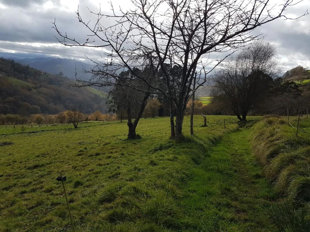 Properties for sale and rent in Spain photo 4