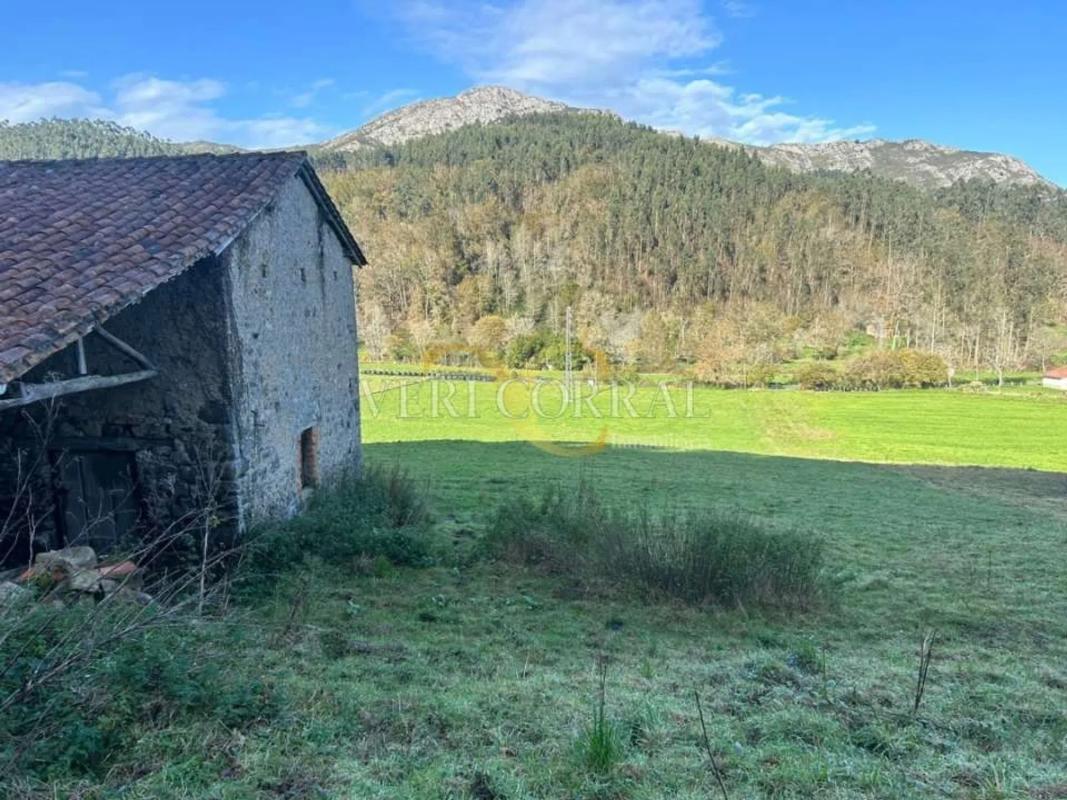 Propiedades en venta y alquiler en España photo 3
