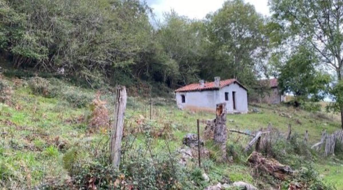 Venta de finca rústica en Camino, 22 , Cangas de Onís photo 4