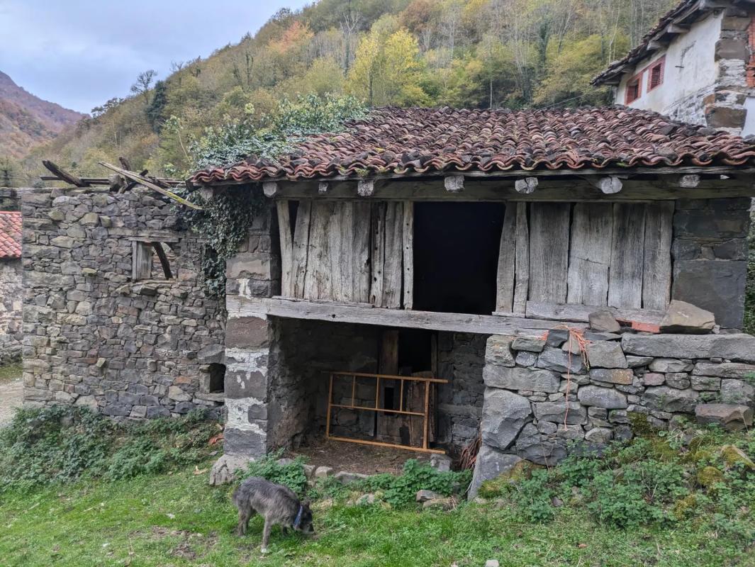 Propiedades en venta y alquiler en España photo 3