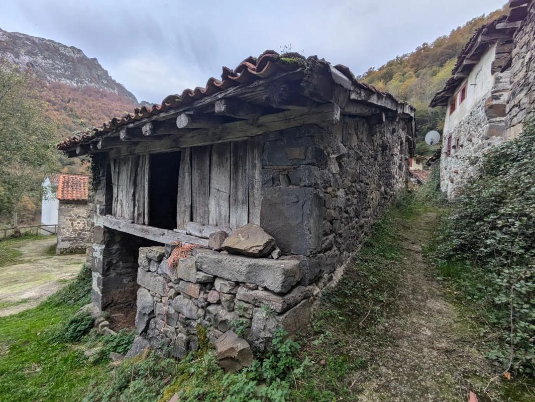 Propiedades en venta y alquiler en España photo 5