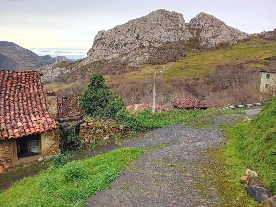 Propiedades en venta y alquiler en España photo 2