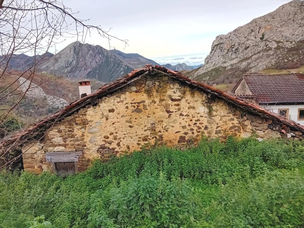Propiedades en venta y alquiler en España photo 4