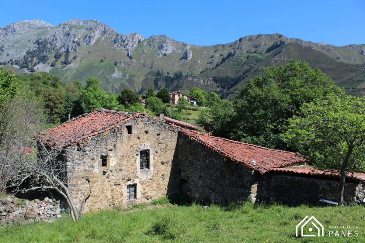 Propiedades en venta y alquiler en España photo 5