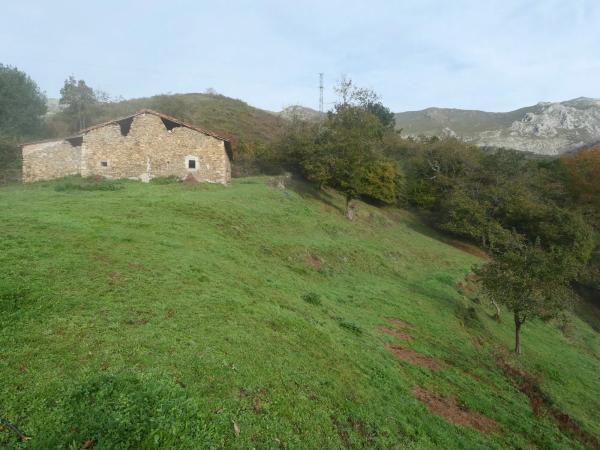 Rustic farm for sale in  Lugar la Usteriza, 24 , Peñamellera Alta photo 1