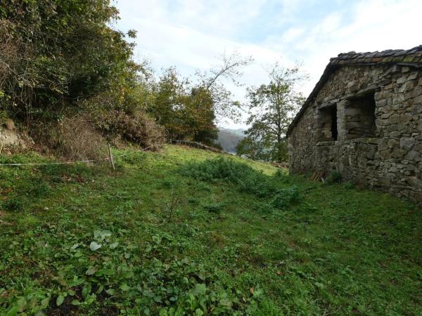 Rustic farm for sale in  Lugar la Usteriza, 24 , Peñamellera Alta photo 4