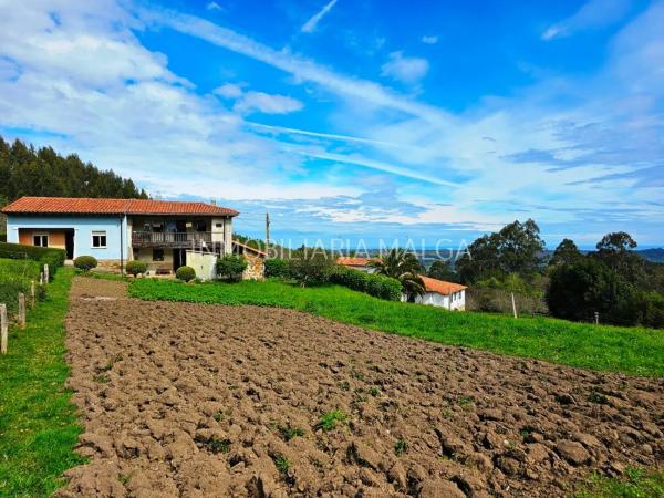 Casa independiente en Aldea el Monte, 6 photo 1