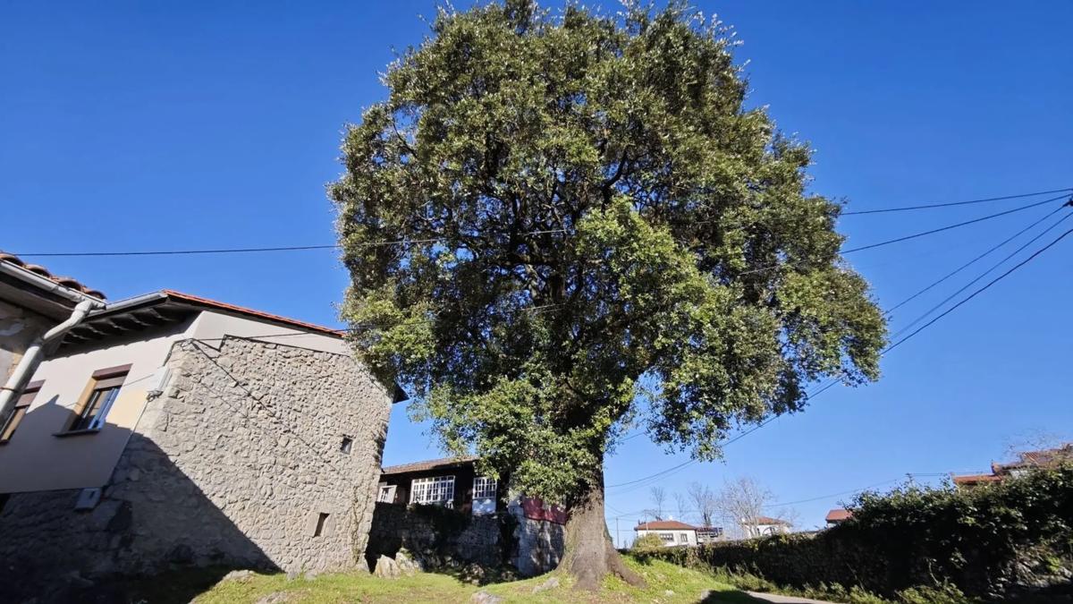 Propiedades en venta y alquiler en España photo 1