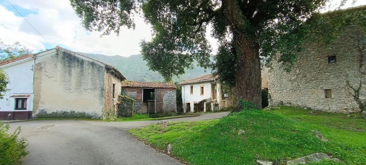 Propiedades en venta y alquiler en España photo 4