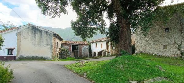 Casa de pueblo photo 4