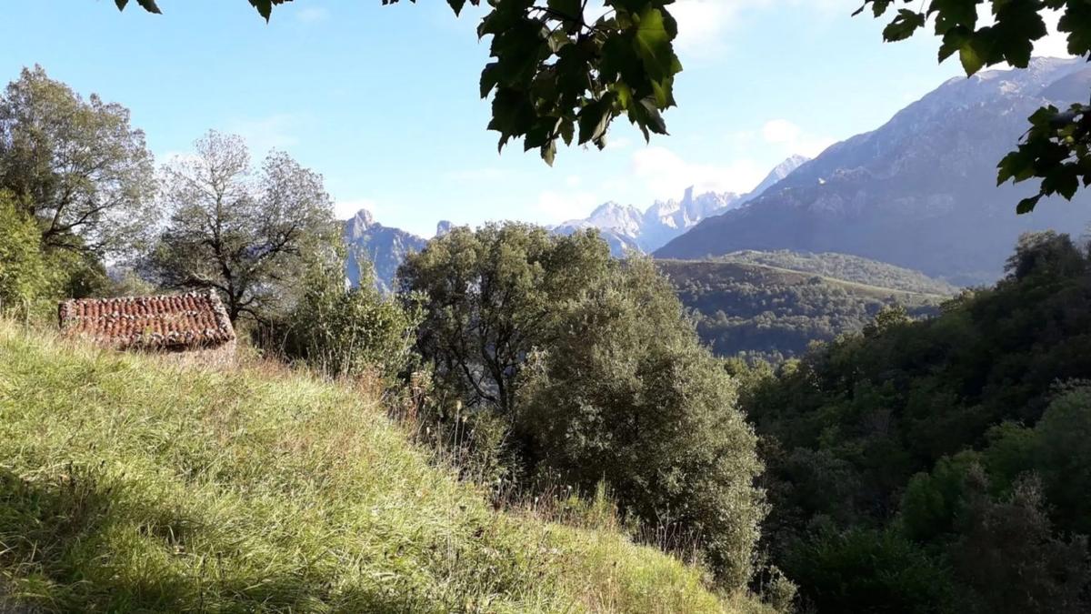 Venta de finca rústica en  Asiego, cabrales , Cabrales photo 2