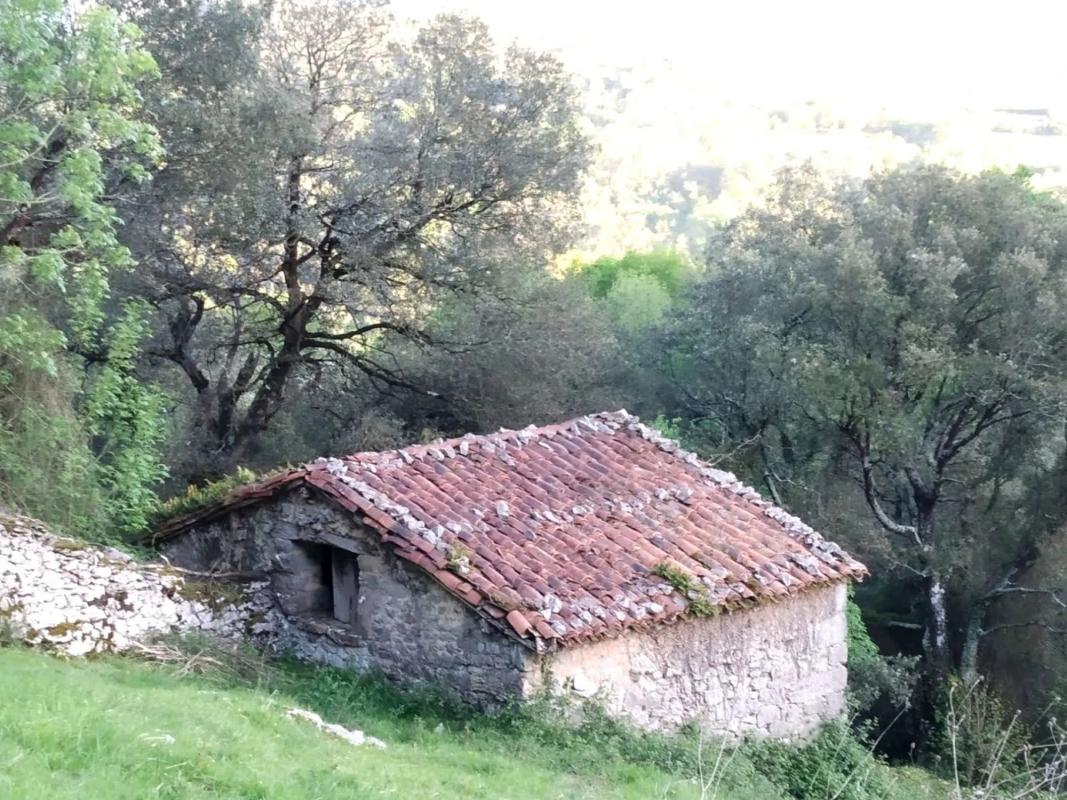 Venta de finca rústica en  Asiego, cabrales , Cabrales photo 3